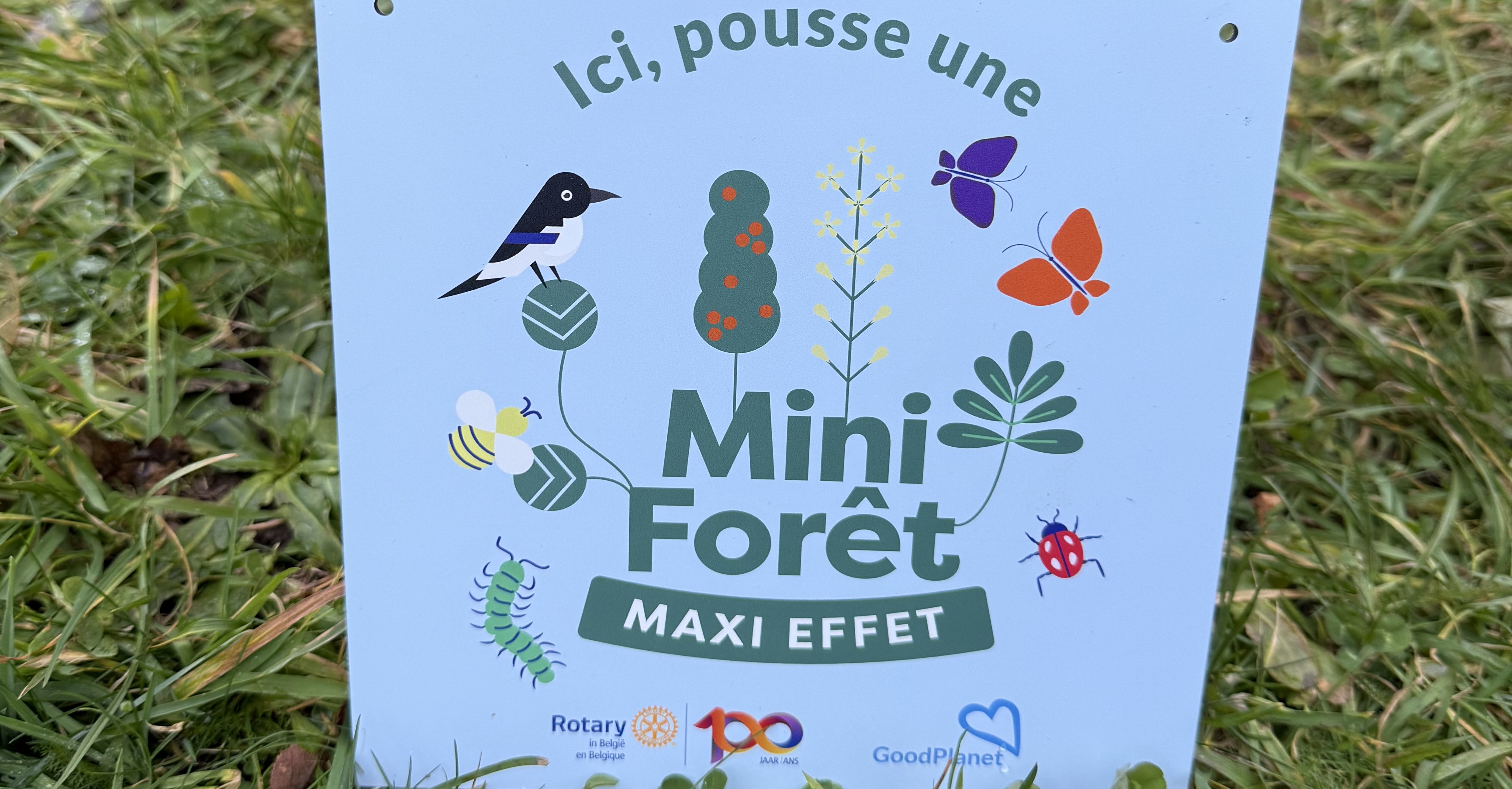 Action minI forêts